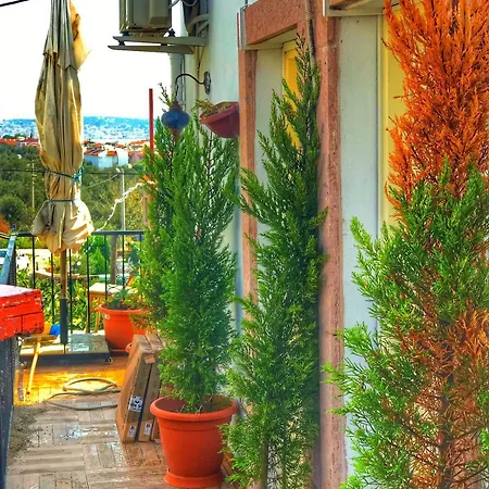 Cunda Thelara * Ayvalı