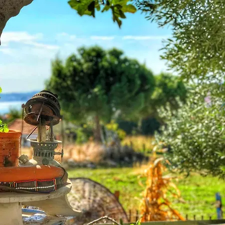 فندق Cunda Thelara *