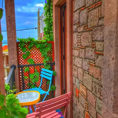 Cunda Thelara Ayvalı