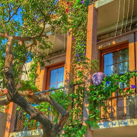 Cunda Thelara فندق