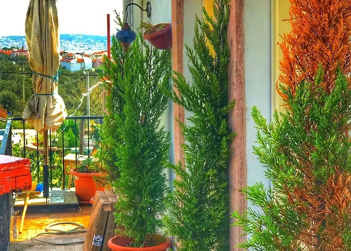 Cunda Thelara * Ayvalı