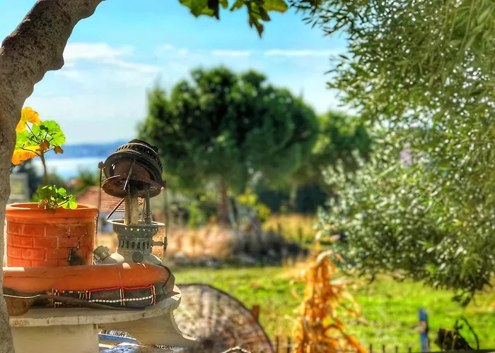 Hotel Cunda Thelara *