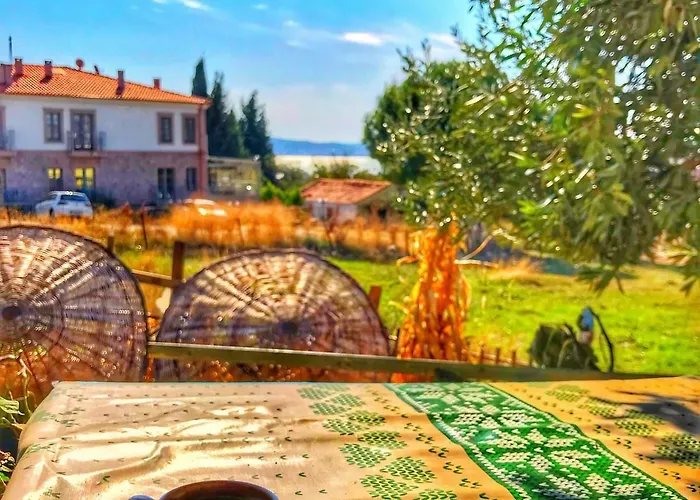 Hotel Cunda Thelara *